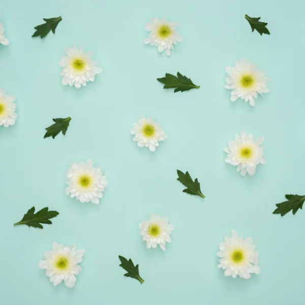 Green & Pink Floral Delight Wallpaper - Daisies & Leaves Mural - Nature Wall Mural - Bedroom, Living Room Decor - Kids Room Decor Green & Pink Floral Delight Wallpaper - Daisies & Leaves Mural - Nature Wall Mural - Bedroom, Living Room Decor - Kids Room Decor