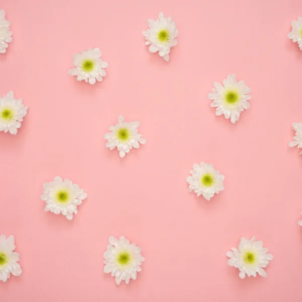 Pink Floral Wallpaper - Elegant & Inviting Mural - Blue, Green, Yellow Flowers - Soothing Wall Mural - Bedroom, Living Room, Dining Room Decor Pink Floral Wallpaper - Elegant & Inviting Mural - Blue, Green, Yellow Flowers - Soothing Wall Mural - Bedroom, Living Room, Dining Room Decor