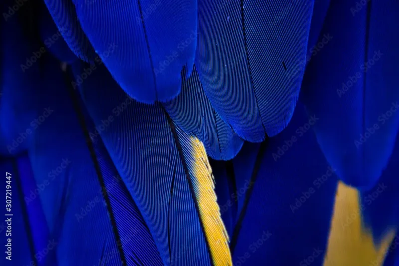 Blue Wallpaper – Elegant and Versatile for Any Room