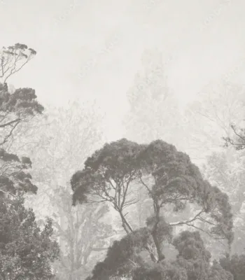 Vintage Tree Illustration Wallpaper – Grunge Forest Wall Mural Greyscale Vintage Tree Illustration Wallpaper – Grunge Forest Wall Mural Greyscale