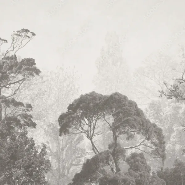 Vintage Tree Illustration Wallpaper – Grunge Forest Wall Mural Greyscale Vintage Tree Illustration Wallpaper – Grunge Forest Wall Mural Greyscale