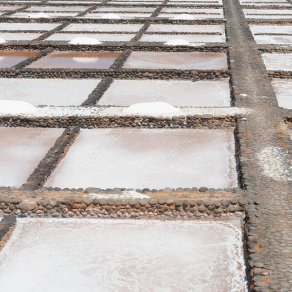 Botanical Seamless Pattern Wallpaper – Neutral Tones Illusory Space Effect, Modern Minimalist Style for Calm Interiors Botanical Seamless Pattern Wallpaper – Neutral Tones Illusory Space Effect, Modern Minimalist Style for Calm Interiors