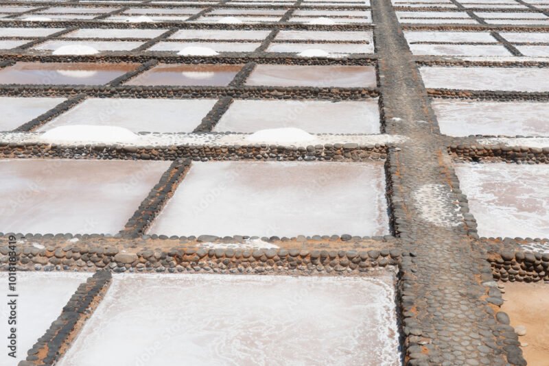 Botanical Seamless Pattern Wallpaper – Neutral Tones Illusory Space Effect, Modern Minimalist Style For Calm Interiors Botanical Seamless Pattern Wallpaper – Neutral Tones Illusory Space Effect, Modern Minimalist Style for Calm Interiors